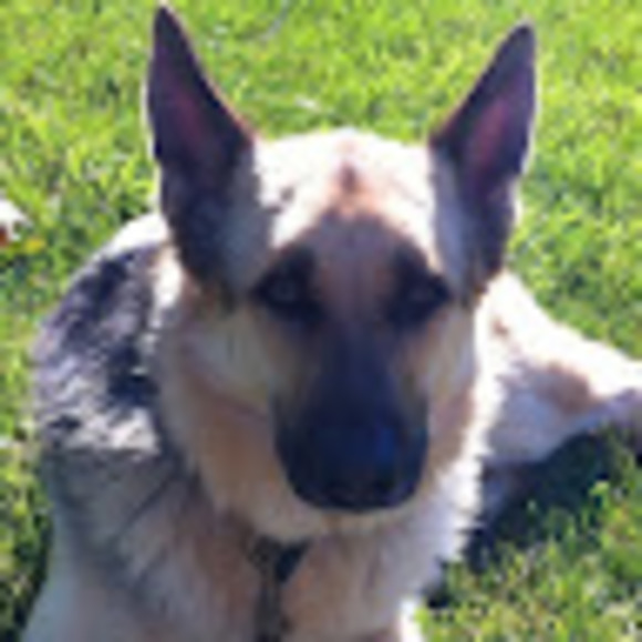 Meet your Posher, Lori - Picture 1 of 1